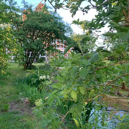 Haus Siebenstein Living For A Good Cause Holiday home *